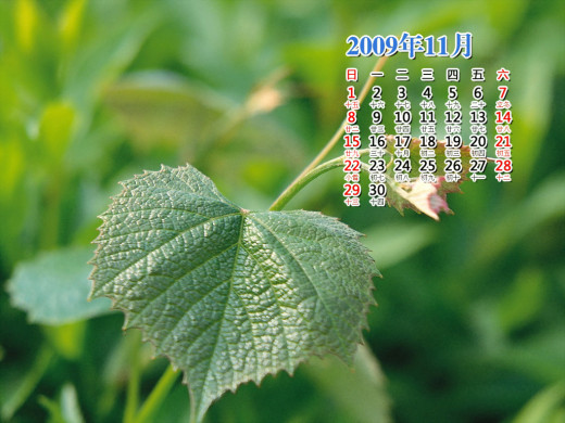 400607 (a): :1024x768